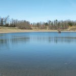 der See besitzt eine Fläche von 1,9 ha und ist maximal 2 Meter tief