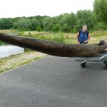 der Einbaum des Archäotechnischen Zentrums wird zu Wasser gelassen