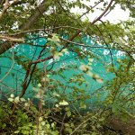 ... wird belohnt mit einem Ausblick auf äußerst klare Sichtverhältnisse