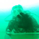 der Blick nach drau&szlig;en