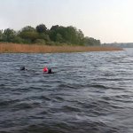 auf einem 50 m langen Teilstück wurden alle Pfähle vermessen