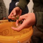 auch Pflanzenproben werden untersucht