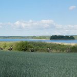 der Oberuckersee, Mai 2017, im Hintergrund die Burgwallinsel