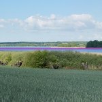 farbliche Hervorhebung der ehemaligen Ausdehnung der &bdquo;Tiefen Br&uuml;cke&ldquo;
