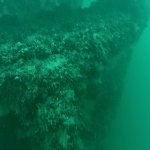 das Heck der &bdquo;Amazone&ldquo;