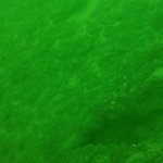 die m&auml;chtigen Spanten des Holzseglers