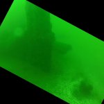 Reste des Bugs der &bdquo;Auguste&ldquo;