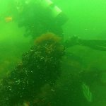 im Vordergrund ist ein Spanten des Wracks gut erkennbar, die Planken waren mit Holzn&auml;geln (3,5 cm stark) befestigt, in kraweeler Bauweise aus Eiche