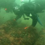 Eckbert beseitigt den Bewuchs an den Mündungen der 7 zerteilten Kanonen verschiedener Kaliber; unbrauchbares Material diente oft als Ballast