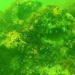 die M&uuml;ndungen zweier Kanonen