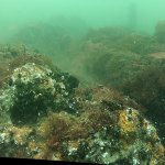 eine ähnliche Einstellung mit manuellem Weißabgleich