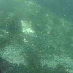 im Hintergrund ist die Riffkante sichtbar