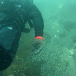 immer parallel zur Riffkante